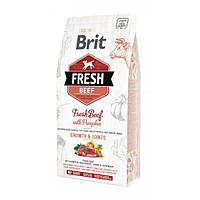 Brit Fresh Beef / Pumpkin Puppy Large 12 кг сухий корм для цуценят великих і гігантських порід собак