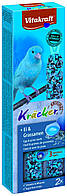 Лакомство для канареек Vitakraft «Kracker Original + Egg & Grass Seeds» 2 шт. (яйцо и семена)