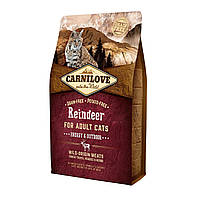 Сухой корм Carnilove Cat Raindeer Energy & Outdoor 2 кг с мясом оленя для взрослых активных кошек