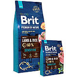 Brit Premium Sensitive Lamb для собак з ягням 1 кг, фото 4