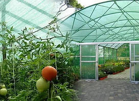 Затіняюча сітка Agreen 60% (4х100м) / огородня сітка від сонця