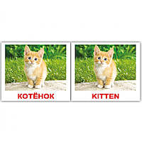 Карточки мини русско-английские "Домашние животные/Domestic"