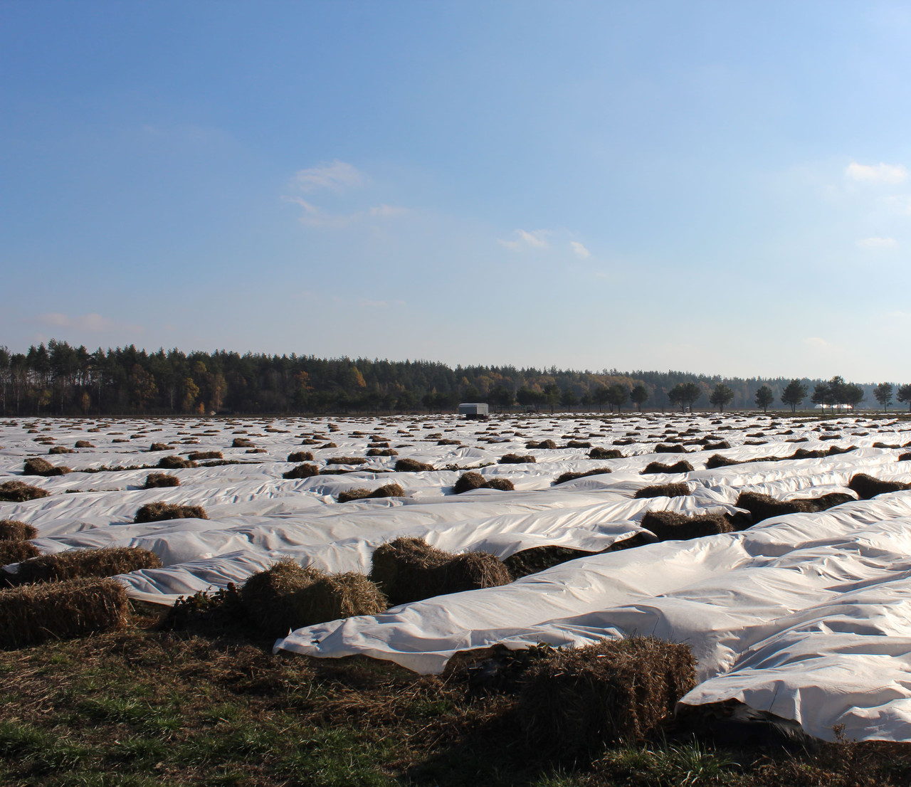 Агроволокно покривне Agreen 30 щільність 12,65*100м біле на поле