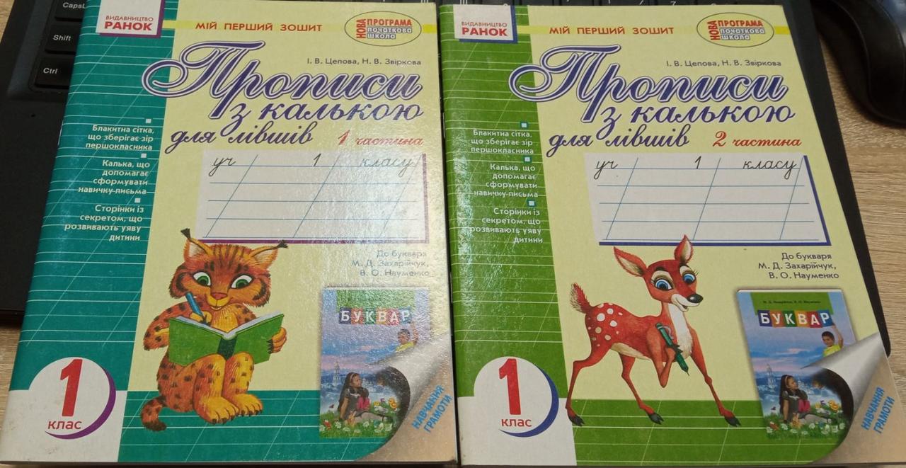 Прописи З Калькою. Мій Перший Зошит. 1 Клас. У 2-Х Частинах. До.