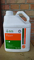 Разит (5 л) ALFA Smart Agro