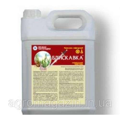 Блискавка (5л) Презенс