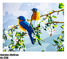 Картина за номерами "Пташки" розмір 40 х 50 см, код 6750