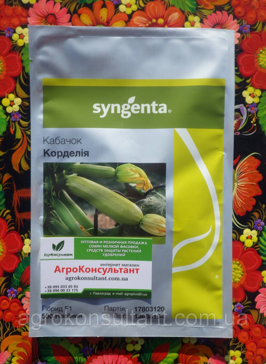 Насіння кабачка Корделія F1 (Syngenta), 500 насінин — ранній (40-42 дні) гібрид світло-зеленого кабачка