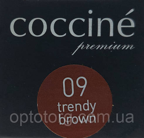 Коректор реставратор Трендово коричневий для гладкої шкіри Кочіне Coccine 10мл Польща, фото 1