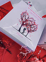 Подарочный набор меда с орехами и свечей ко Дню св.Валентина «Моя мрія», белый, 20х20х10 см.