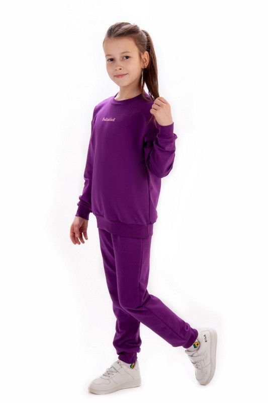 Купить Спортивные костюмы для девочек / Свитшот с брюками, цена 503 ...