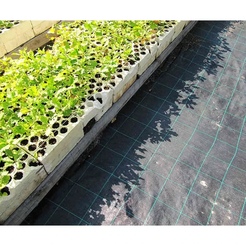 Тканний агротекстиль AGROCOVER (Agrojutex) 100г/м2, 2,1м*100м, агротканина для полуниці