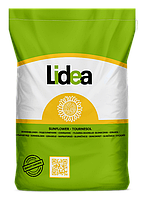 Ароматик Lidea (Євраліс) під Гранстар насіння соняшника Лидеа Euralis