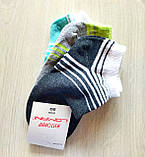 Шкарпетки дитячі 3 пари розмір 14-16,16-18,18-20,20-22, 22-24, фото 2