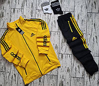 Мужской спортивный костюм Adidas + две пары носков Адидас черные и белые