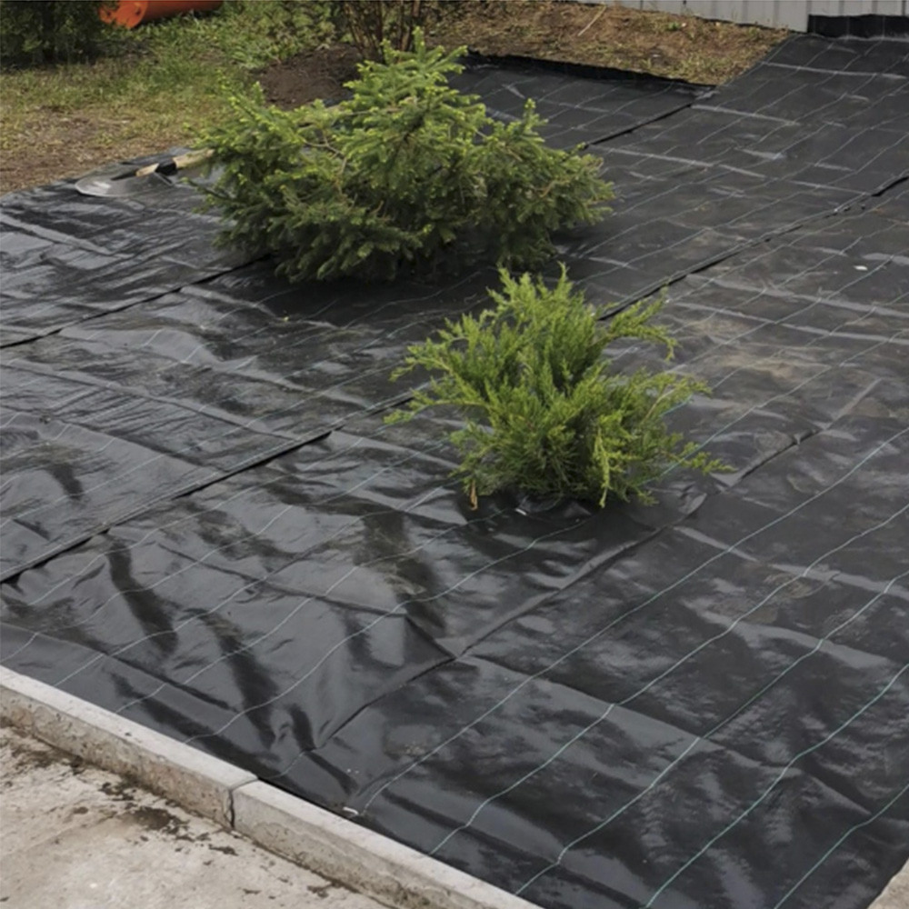 Агротканина Agreen 100, чорна, 1,6 м х 50 м, агротканина для мульчування
