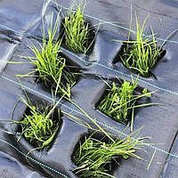 Агротканина Agreen 100гр 3,2мх50м чорна, агротканина мульчуюча