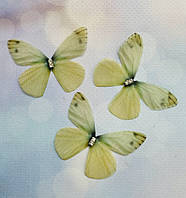 Метелик (шифон, двошарові), розмір 45*40 мм, шт