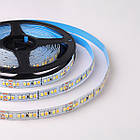 Світлодіодна стрічка Mi-light 2835-192 Dual White (96 LED 2700 K + 96 led 6500 K) 24 V, негерметична, фото 3