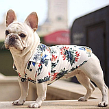 Сорочка для котів і собак, Одяг для тварин, фото 2