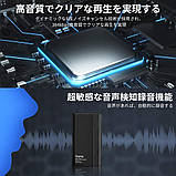Диктофон Daping DP22-Pro 2020, фото 4