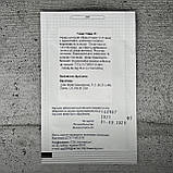 Томат Мавр 5 шт високорослий насіння пакетоване Агропак, фото 2