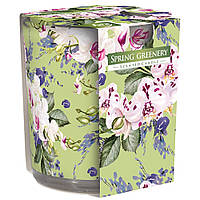 Ароматична свічка BISPOL Весняна зелень