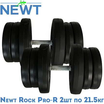 Гантелі розбірні композитні домашні гантелі пластикові для тренувань Newt Rock Pro-R 2 шт по 21,5 кг, фото 1