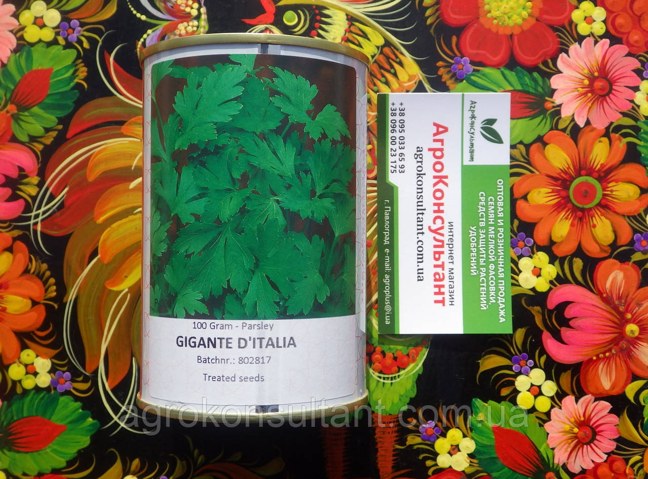 Насіння петрушки Гігант де Італія (Pop Vriend Seeds), 100 грам - ранній сорт (65-75 днів) листової петрушки