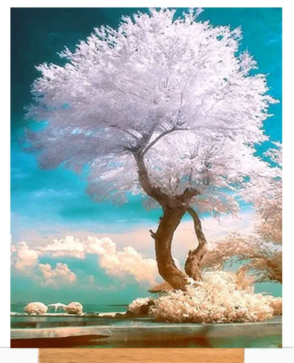 картина алмазная мозаика набор