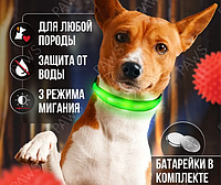Светящийся ошейник для прогулок на батарейках регулируемый по длине для собак кошек DogClub L (45-55 см)