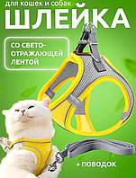 Шлейка анатомическая и поводок 150 см Kafuli Pet Collection для собак и кошек 3-15 кг XS желтый