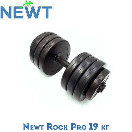 Гантель розбірна композитна домашня гантель пластикова для тренувань Newt Rock pro 19 кг., фото 1