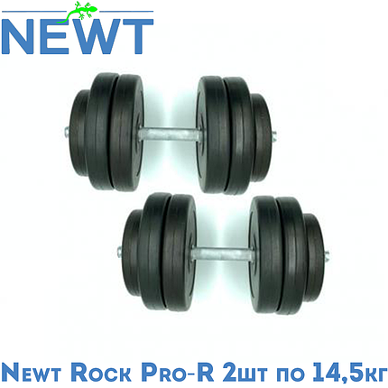 Гантелі розбірні композитні домашні гантелі для фітнесу пластикове покриття Newt Rock Pro-R 2 шт по 14,5 кг, фото 1