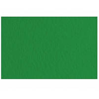 Бумага для пастели TIZIANO Fabriano А4 (21*29 7см) №37 зеленое среднее зерно 160г/м2 (10)
