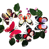 Флуоресцентніий метелик 3D наліпка на стіну декор кімнати , DIY 8 см, w-000363 акційна пропозиція, фото 2