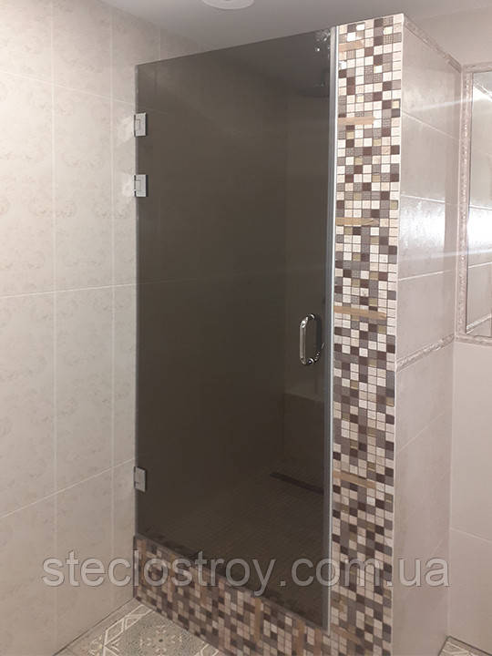 Двері для душової кабіни тоновані (бронза, графіт) 900х2000 мм, фото 1