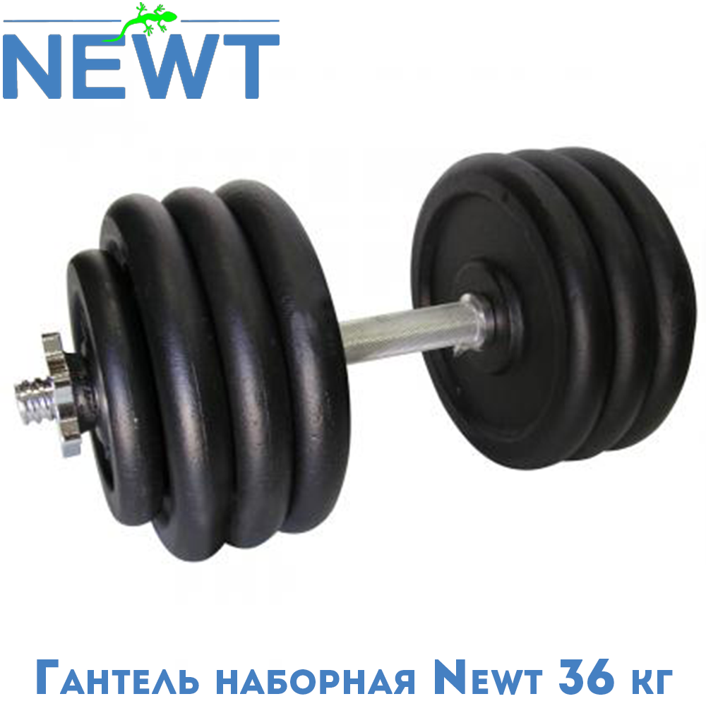 Гантель металева розбірна з покриттям розбірна гантель для тренувань гантель для дому Newt Home 36 кг