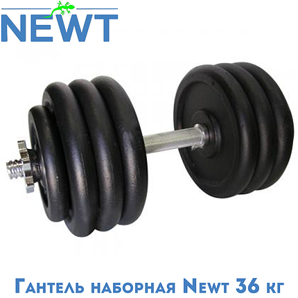Гантель металева розбірна з покриттям розбірна гантель для тренувань гантель для дому Newt Home 36 кг, фото 1