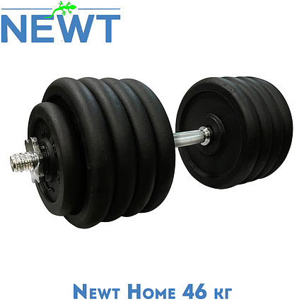 Гантель металева розбірна з покриттям розбірна гантель для тренувань гантель для дому Newt Home 46 кг, фото 1