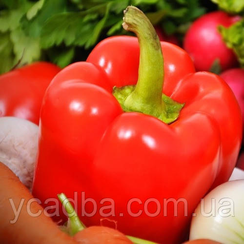 Насіння перцю солодкого Фарширувальний (0.25г), фото 1