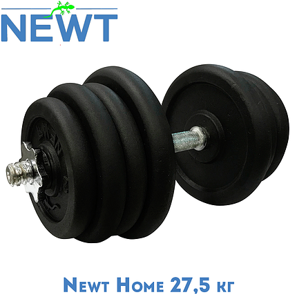 Гантель металева розбірна з покриттям розбірна гантель для тренувань гантель для дому Newt Home 27,5кг, фото 1