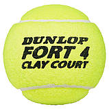 Нові м'ячі Dunlop Fort Clay Court (ящик 72 м'яч) для великого тенісу (18 банок по 4 м'яча), фото 9