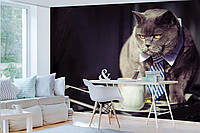 Фотообои 3Д для зала 254x184 см Черный кот бизнесмен (10397P4)+клей