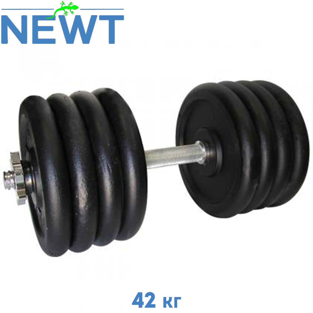 Гантель металева розбірна з покриттям розбірна гантель для тренувань гантель для дому Newt Home 42 кг
