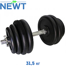 Гантель металева розбірна з покриттям розбірна гантель для тренувань гантель для дому Newt Home 31,5кг