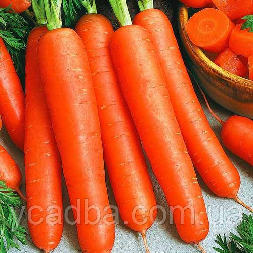 Насіння Моркви Яскрава (3г), фото 1