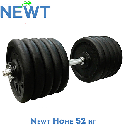 Гантель металева розбірна з покриттям розбірна гантель для тренувань гантель для дому Newt Home 52 кг, фото 1