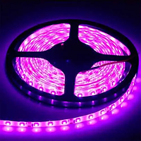 Dilux - Світлодіодна стрічка РОЖЕВА SMD 2835 60 LED/метр, вологозахищена IP65