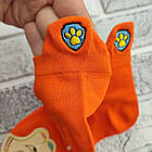 Шкарпетки дитячі короткі весна/осінь р.М кольорове асорті із зап'яточником TUYAYA 30037365, фото 3